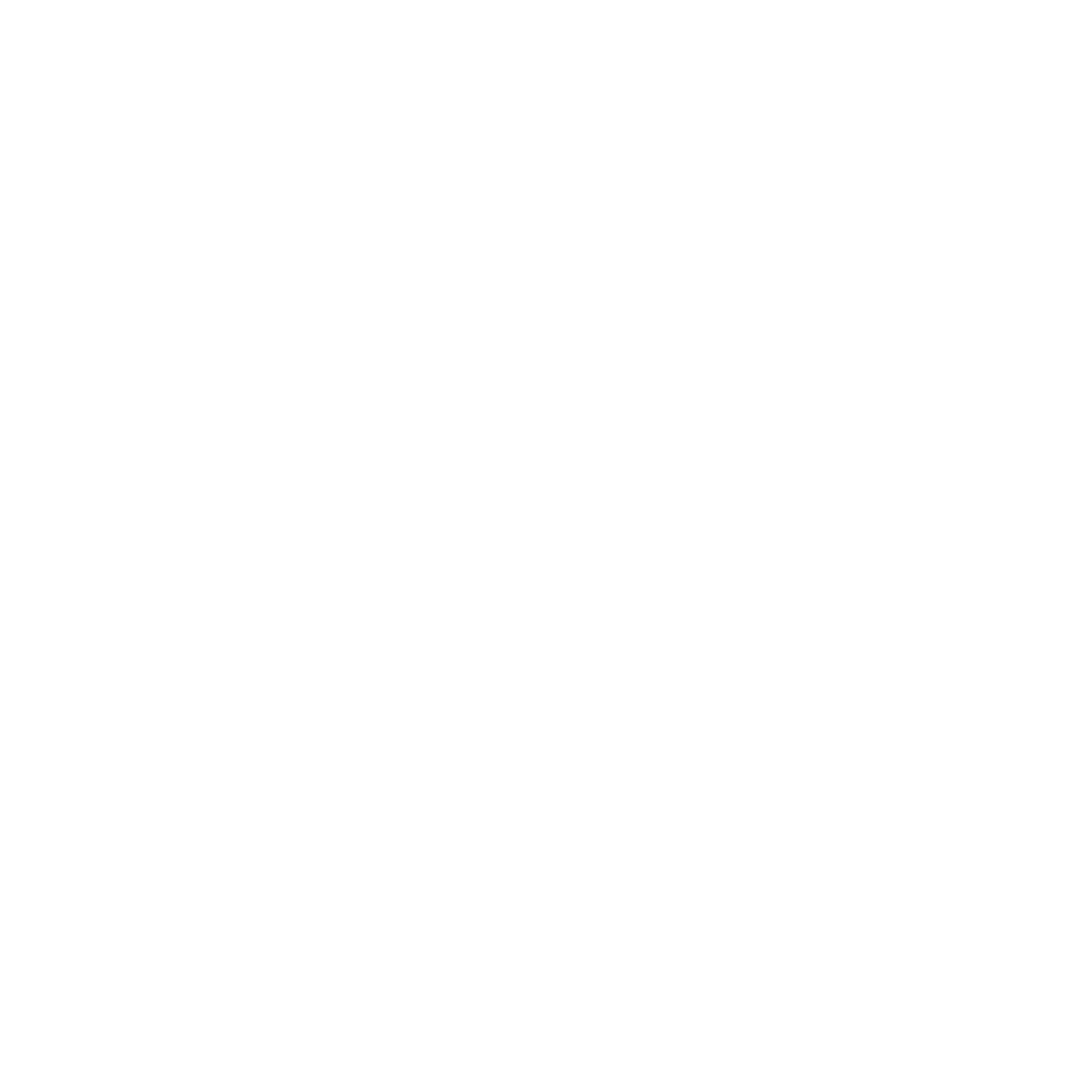 icons8-plane-1250-white